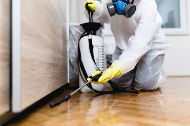 Best Pest Control Near Me  in Mitchell, IN
