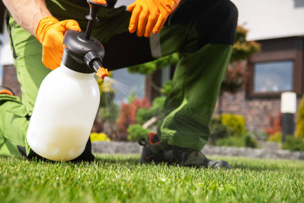 Best Affordable Pest Control Services  in Mitchell, IN