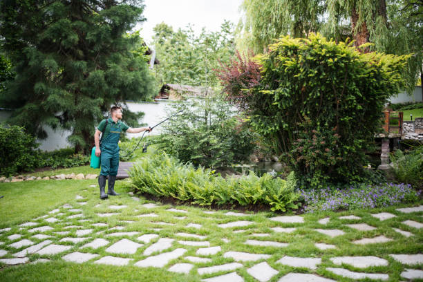 Best Wasp Removal Services  in Mitchell, IN