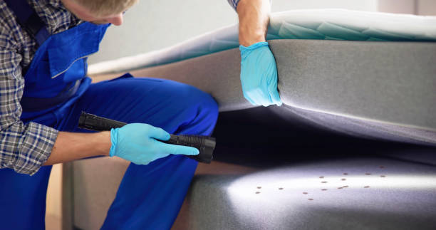 Best Flea Control Services  in Mitchell, IN