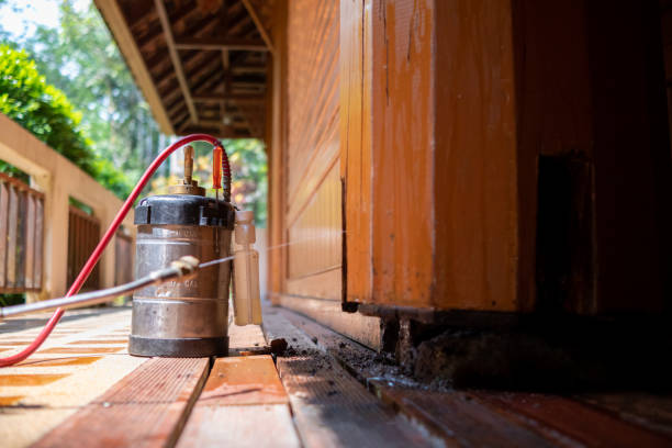 Best Pest Prevention Services  in Mitchell, IN