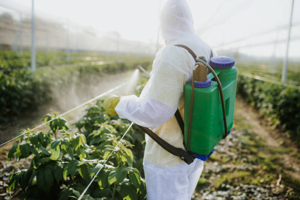 Best Local Pest Control Services  in Mitchell, IN